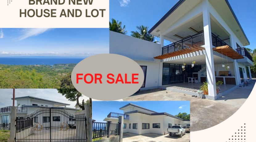 Brand-new-house-and-lot-for-sale