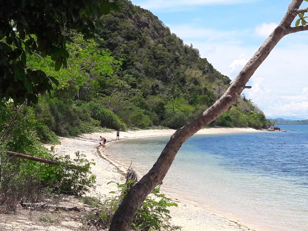 BEACH LOT FOR SALE IN BUSUANGA OP009