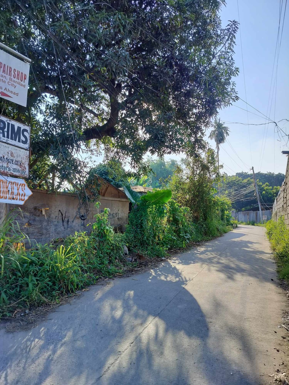 SEMI-COMMERCIAL LOT FOR SALE IN DUMAGUETE ID 14825
