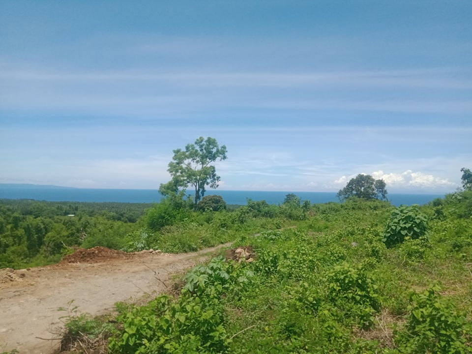 OCEAN VIEW LOT FOR SALE IN DAUIN ID 14835