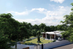 aerial 1