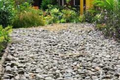 img-20250624-wa0019_720