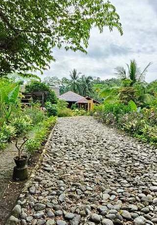 img-20250624-wa0020_720