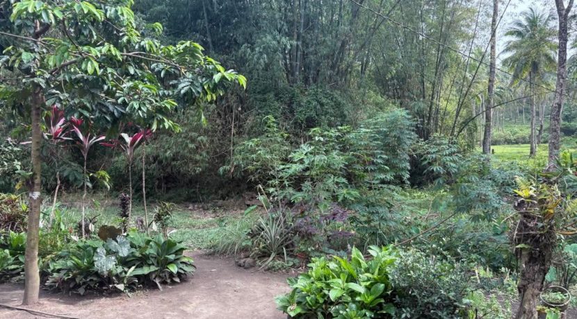 081b079a6b7c5327614e05e2cbb7ca9a