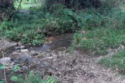 1c748bb394cddbc7b86b11939a9ec426