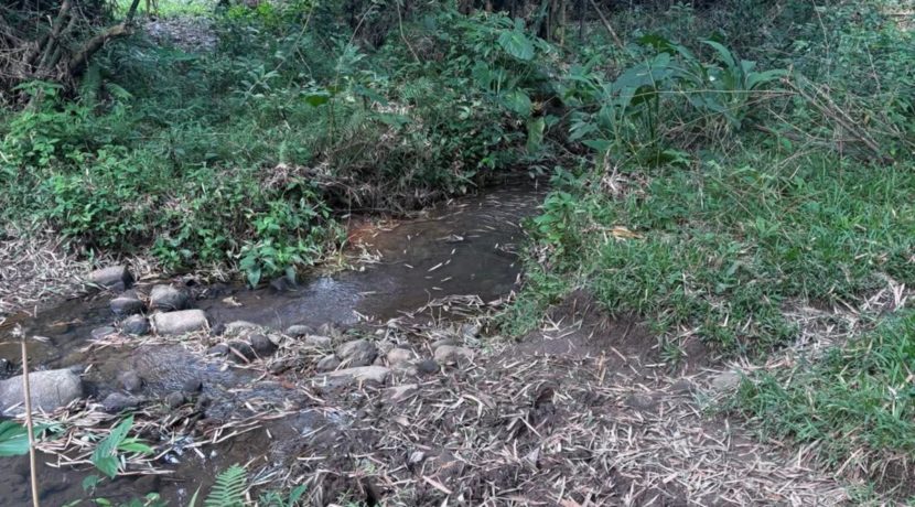 1c748bb394cddbc7b86b11939a9ec426