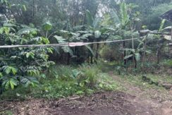 35067ed27449907f6881a7bf7d37475b