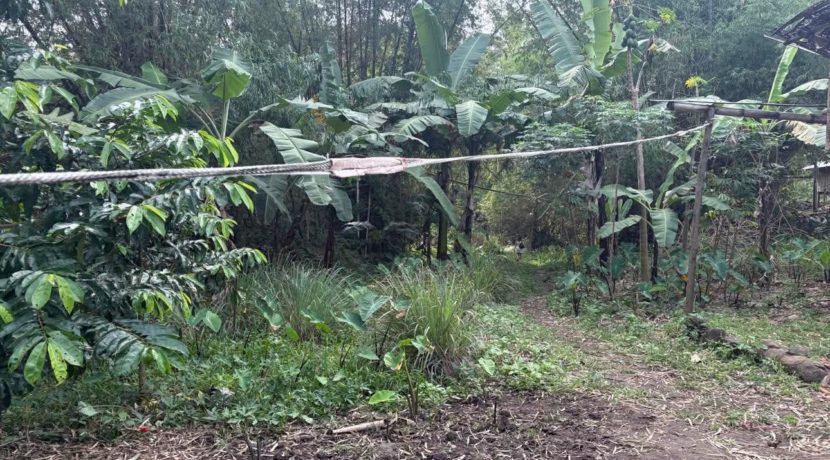 35067ed27449907f6881a7bf7d37475b