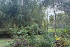 370cefcc18026be6ded9bdd4098f83ca