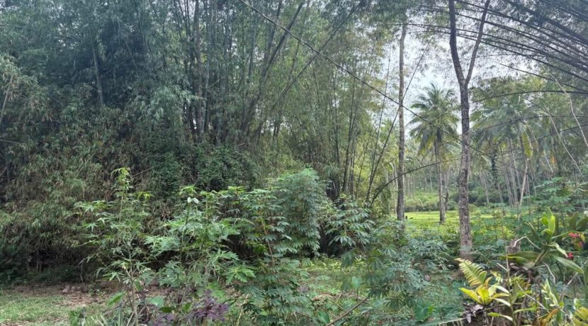 370cefcc18026be6ded9bdd4098f83ca