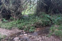 4b7606093926f317d1993e4f6cb923aa