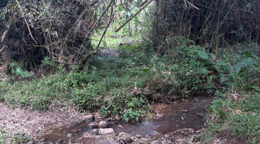 4b7606093926f317d1993e4f6cb923aa