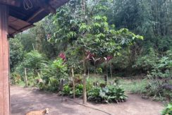 4bc4ca27e685f0ef6feed3e69bdea8f9