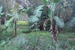 898d22b8fe5c4b17b842a9ab0bc27813