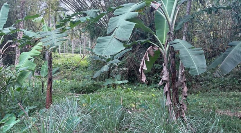 898d22b8fe5c4b17b842a9ab0bc27813