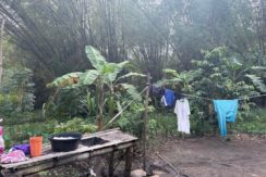 9d739ed0ddc703ccae12bd325ce75f98