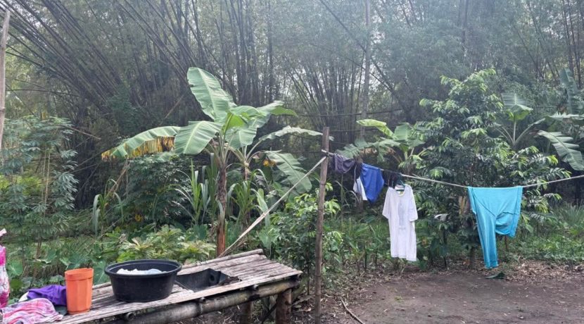 9d739ed0ddc703ccae12bd325ce75f98