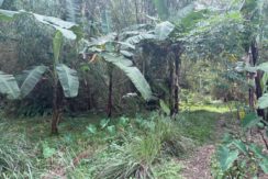 b974306745d276fa8977fe6719acbf07