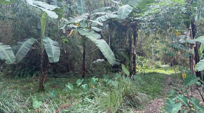 b974306745d276fa8977fe6719acbf07