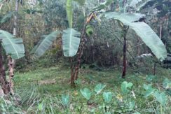 e0ced2e4db0d47de3c2241b3ce8b608f