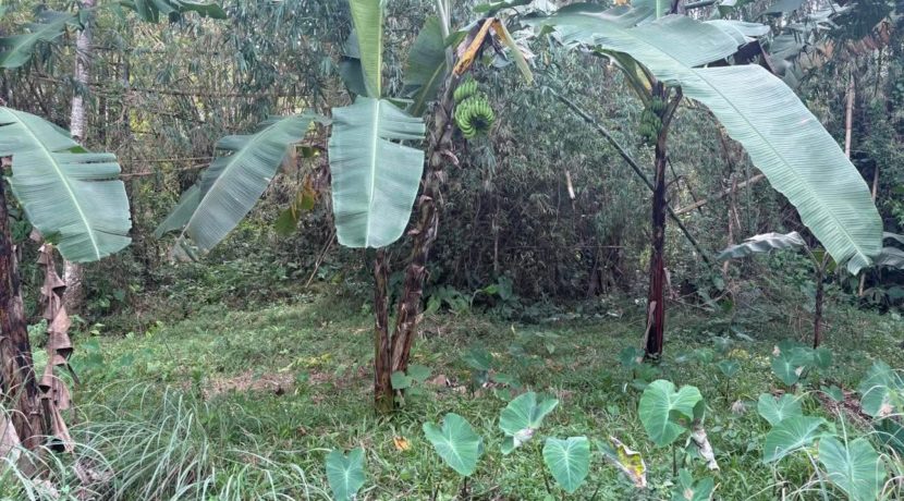 e0ced2e4db0d47de3c2241b3ce8b608f