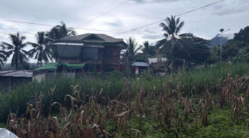 111ac4c9faf5959c4e3239e380a38ca2