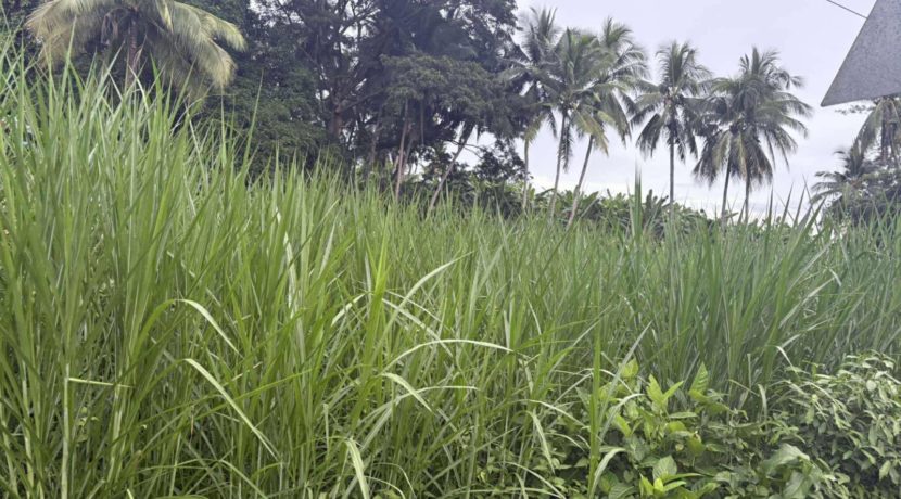 25f1cce9e4e88aa60c0207ae8132bc39