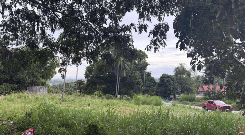 293915c216ec75f760800d0009719ea8