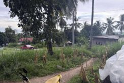 2a787f9492be14502c9c48e1d9d6978b