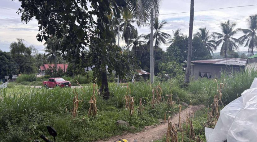 2a787f9492be14502c9c48e1d9d6978b