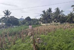 35903b390035a3ec814ece1ae26b31f6