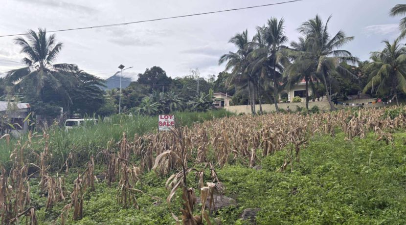 35903b390035a3ec814ece1ae26b31f6