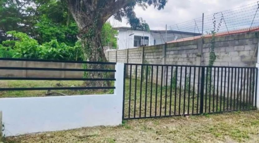 494643619_1353513162569368_6849645528866007102_n