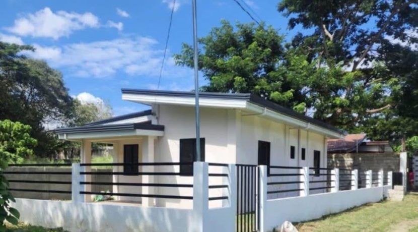 494714603_1647855575862105_164814503387674756_n