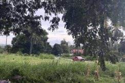 51ac9c931b978abfe584993435a11ac8