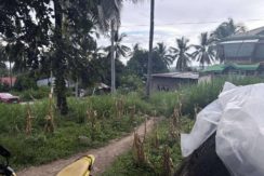 56eac36ffc68ff4920412cfeca50d689