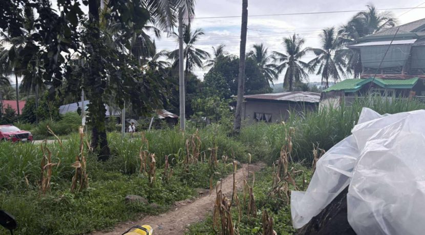 56eac36ffc68ff4920412cfeca50d689