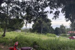 69ddf28aaefa90c6bcbcc35a321149fa