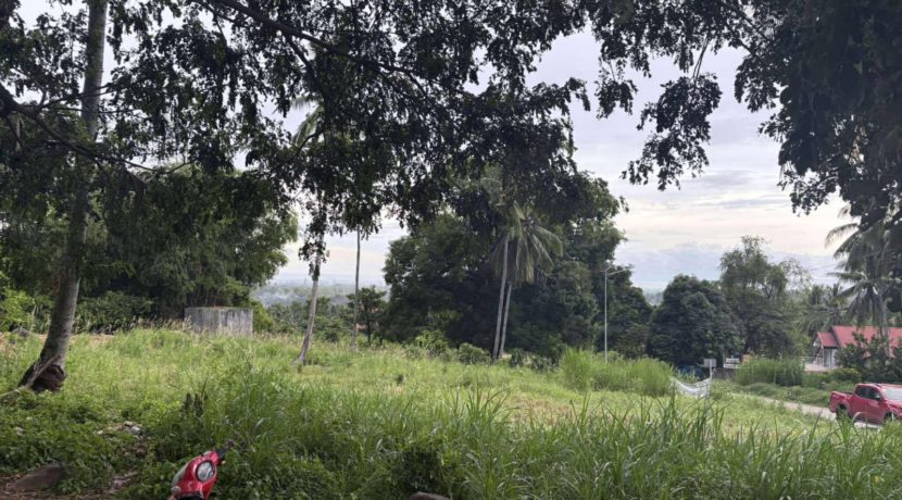 69ddf28aaefa90c6bcbcc35a321149fa