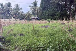 6b9b369bc5248a84b8129a785000d05a