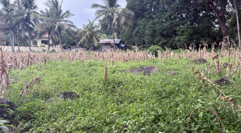 6b9b369bc5248a84b8129a785000d05a