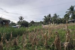 823a60e416a7dab243d71e6b67410109