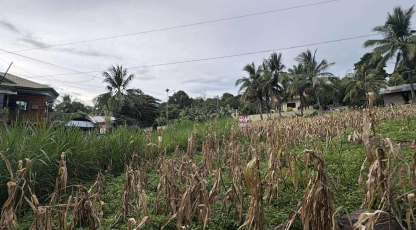 823a60e416a7dab243d71e6b67410109