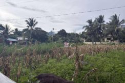 8706e25b559b888fff52fb238dff624e