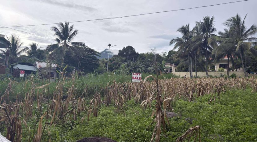 8706e25b559b888fff52fb238dff624e