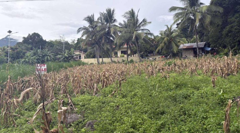 90e99ed0f9caba0dfc7b6ed8d702d7a9