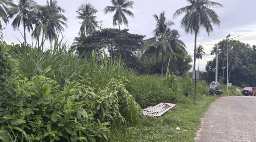 98aebe214ac6bfa85eeffd90619b505b