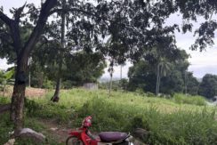 ad3143bb8ddd55099f1d52ea8da67e1f