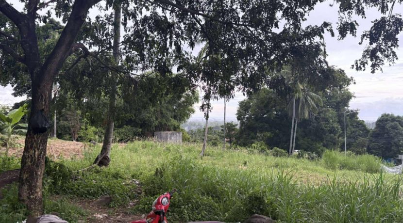 ad3143bb8ddd55099f1d52ea8da67e1f