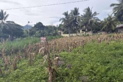 b0fb7ba33dcca99444cdd9a86c04a500